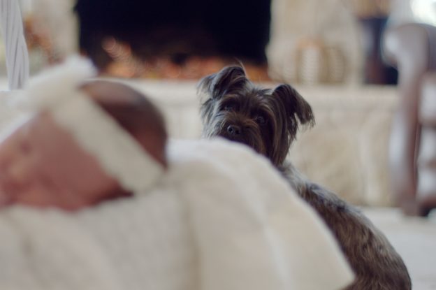 Baby asleep with dog in the far background