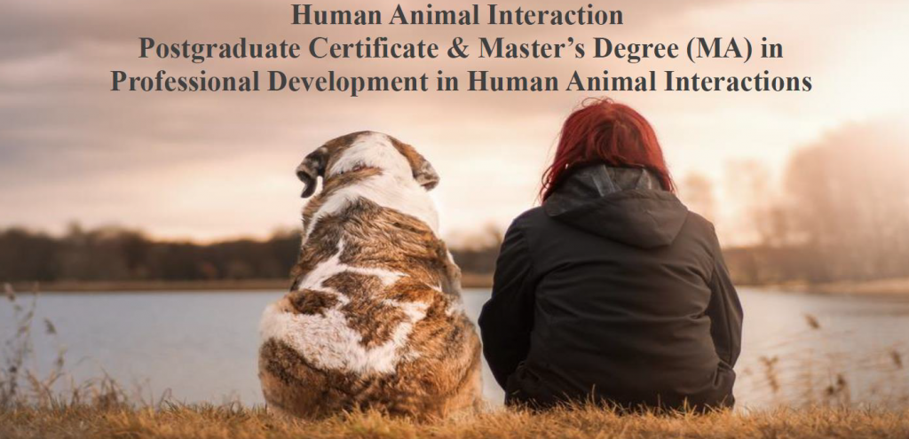 New postgraduate course in Human-Animal Interactions! | SCAS